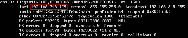 IP Address